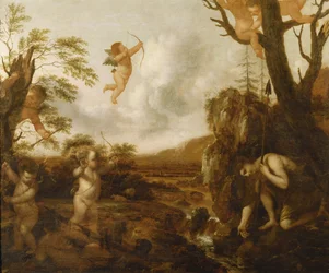 Narcissus